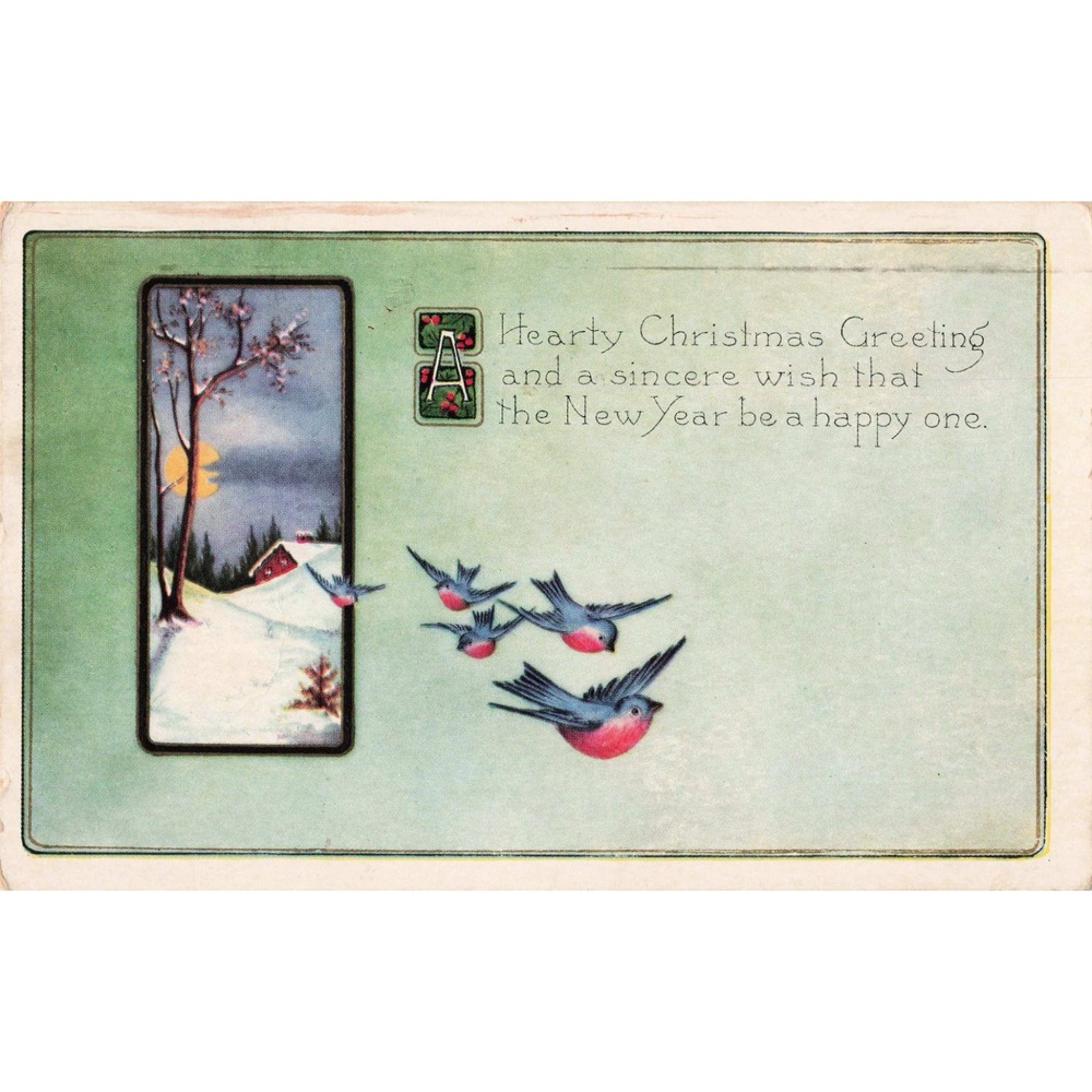 Vtg 1908 Christmas Postcard Bluebirds Winter Cabin Whitney Made Pewaukee WI